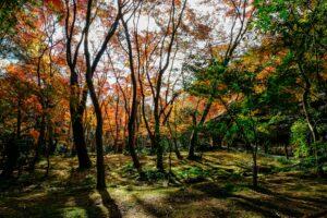 melhor época pra visitar Kyoto