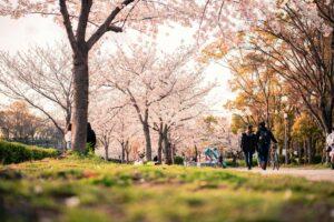 Dicas de Osaka Japão